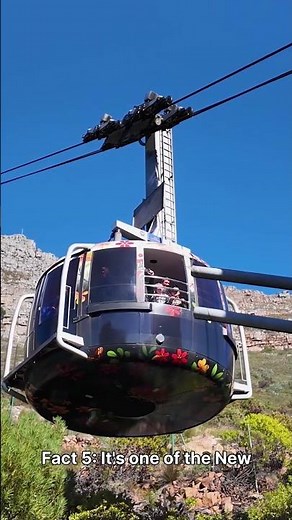 Table Mountain Facts: The New 7 Wonders Mountain That Just Changed Its Entry Rules Forever