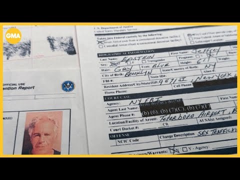 What new Epstein files release shows