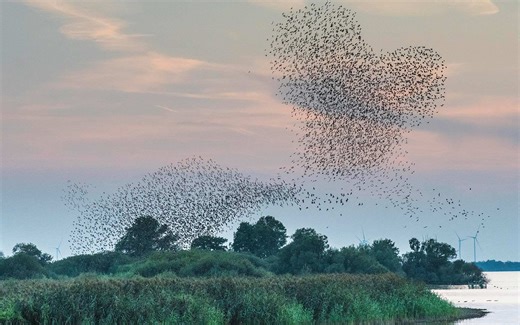 用 Miracast 协议的 Gnome-Network-Display 屏幕分享软件