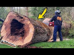 This HUGE Tree Job was NOT supposed to take us 4 days!! ROTTEN COTTONWOOD Removal!