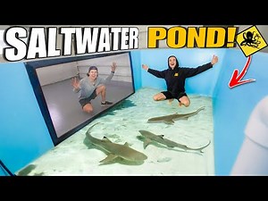 The GIANT SALTWATER POND For Tons Of EXOTIC FISH & SHARKS is Back!