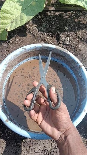 Scissors Water Wash ✨ Super Satisfying Cleaning ASMR