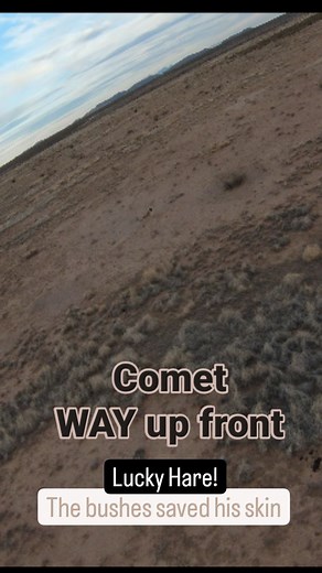 32 reactions | #saluki #harecoursing #huntingdogs #huntingwithdogs #hounds #DJI | Seth Hall | Facebook