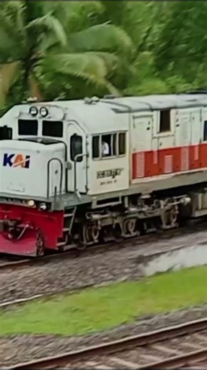 Kicau Kicau Kicau Mania | story wa kereta api | lokomotif CC 201 #shorts