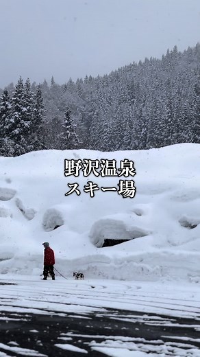 たぶん35年ぶりぐらいです笑 今年中にもう一度来ようかな🤔 次回は温泉♨️も楽しみたい！ 映像少ないので適当に作りました笑 #長野 #旅行 #野沢温泉#温泉#おススメ