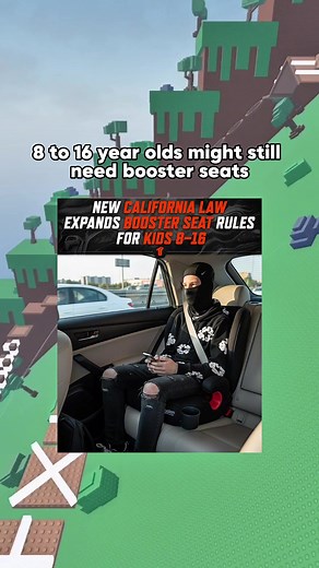 Booster Seats For 16 Year Olds: A Roblox Storytime