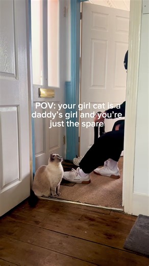 Adorable Cat Daddy Moments