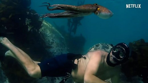 Estos son los mejores documentales de ciencia que puedes encontrar en Netflix