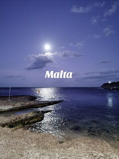 Discovering the Maltese: A Glimpse into Culture