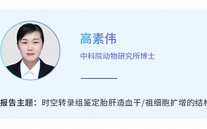 Cell Research|一作详解时空转录组鉴定胎肝造血干/祖细胞扩增的结构