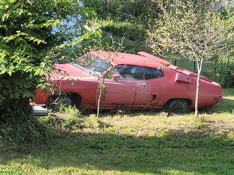 Abandoned Junkyard Tampa, Florida 7-31-2021