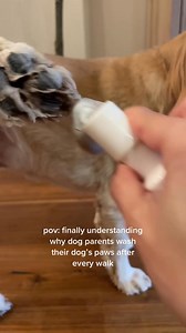Cleaner & healthier paws for our dogs and our home 🐾 | Dandylion