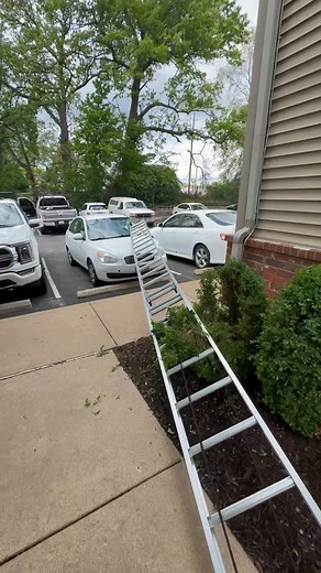 581K views · 1.6K reactions | This one’s from earlier in the year — I posted it in a private group but never on my personal page. 32-foot ladder, fully extended, straight through the windshield. Couldn’t make this up if I tried. | Davey Cox | Facebook