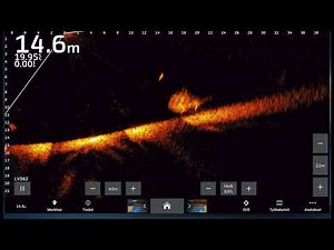 Garmin Livescope LVS62 XR one zander