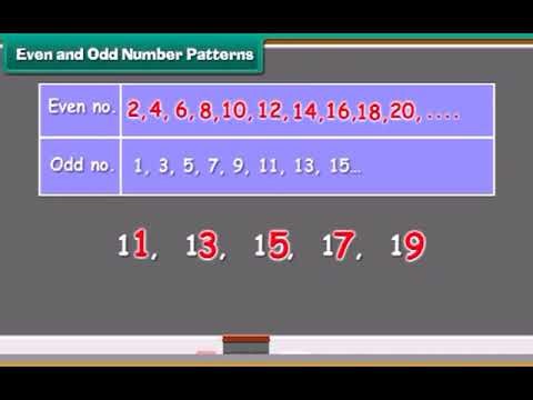 Patterns | Class 3 mathematics CBSE BOARD