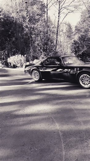 Gunna go stretch her legs #pontiac #transam #musclecar #1977 #fyp