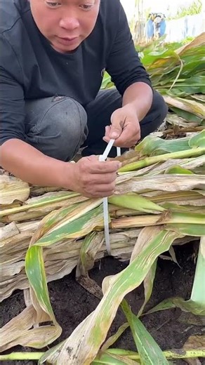 Amazing Farming tools in Action 🚜💥 | JUST KD Agriculture | Part