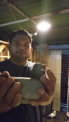 vitamins na kailangan na Part 5 | Mio Ko