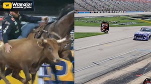 It’s the trip of a lifetime! Seven heroes will win and you can nominate someone in your life now through September 12. Here’s PRCA ProRodeo cowboy Clayton Hass and NASCAR driver Spencer Boyd Racing discussing the 6th Annual Bucks for the Brave weekend at Trinity Oak’s Thumbtack Ranch in Batesville, TX.⁣⁣ ⁣⁣ Army, Navy, Air Force, Marines, Coast Guard veterans plus retired firefighters, and law enforcement are eligible. Nominate the hero in your life for the chance to win this all-inclusive trip 