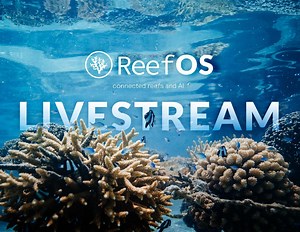ReefOS, connected reefs and AI