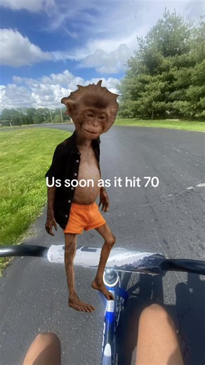 #meme#memecapcut #fypシ゚viral #makemefamous