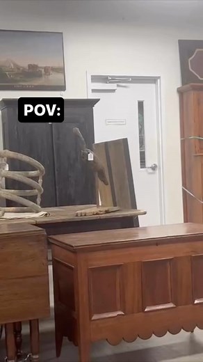 59 reactions | Afro-American Newspapers on Reels | Facebook