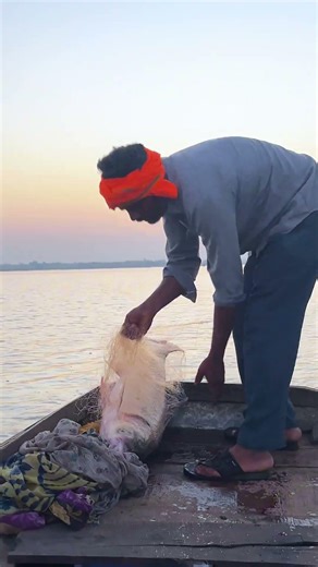 Doobe hue gharo or pedo me jal laga di ! #trending #viral #fishing