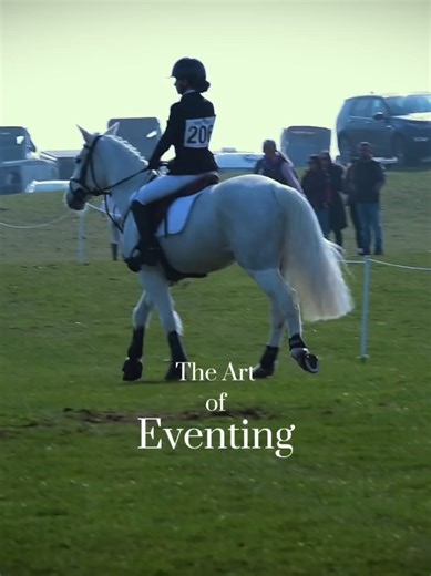 Eventing: Cross Country, Dressage, Show Jumping