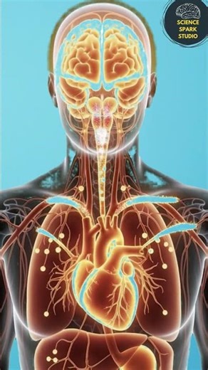 What Happens to Your Body When You Eat Guava? | Benefits, Risks & Science Explained#digestiveprocess