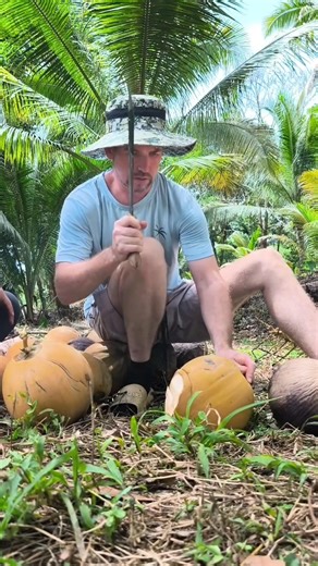 Fresh coconut from our farm 🥥🌴 | Boris Darlene