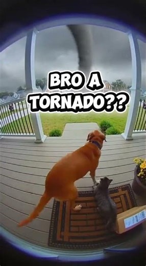 A tornado?? Nah this can’t be real 😭
