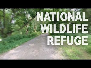 John Heinz National Wildlife Refuge | Bike Ride