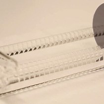 Video: Fabrication of Periodic Gold Nanocup Arrays Using Colloidal Lithography