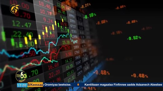 Fooyya'iinsa Diinagdee Gooroo Faayidaa Ummataaf | FMC Afaan Oromoo