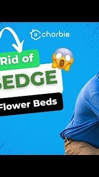 How to Get Rid of Nutsedge in Your Yard (Step-by-Step from an Expert)