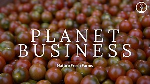 7.3K views · 90 reactions | The indoor greenhouses at Nature Fresh...