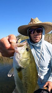 Joe @ Red's here - A snip from a fresh drop on the YouTube Channel. Go check out the full video, link to YT in bio. Played Frogger a few days ago with my good friend and fly creation wizard Patrick Kilby @rioproducts. He is the evil genius behind the RIO's Foam Slice Frog, which I love fishing so much and we sell at Red's to the serious bass anglers (link in bio to fly). This fly is nothing short of genius. It is designed to be fished slow, and "hang" in the water like a real frog is at rest. It