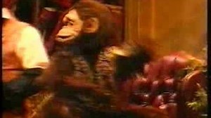 Philip Schofield - Doctor Dolittle