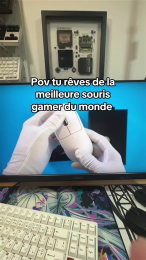 Je veux trop la Logitech superlight la meilleure souris gamer du monde recommandé par les experts et les pros