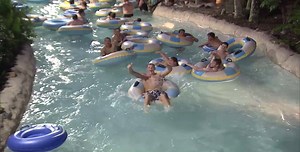 76K views · 1.8K reactions | Get ready to keep the #DVC25 year going...