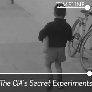 The bread in this French village caused terrifying hallucinations, but how was it linked to the CIA? via Timeline - World History | Real Stories