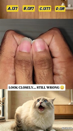 Your Brain Will Betray You 😼🧠 | Guess the Number (DON’T BLINK)