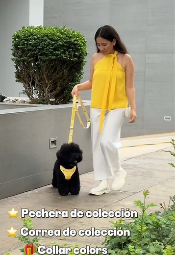 ¿Cómo elegir la pechera adecuada para tu perrito?