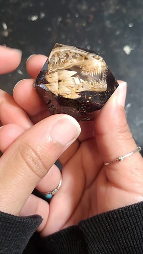 life finds a way #dice#resindice#d20#resin#dnd#dnd5e#handmade#art#resinart#ttrpg#rpg#shiny#dicegoblin#diceaddict#dungeonsanddragons#diceset#dinosaur#dicemaking#fyp