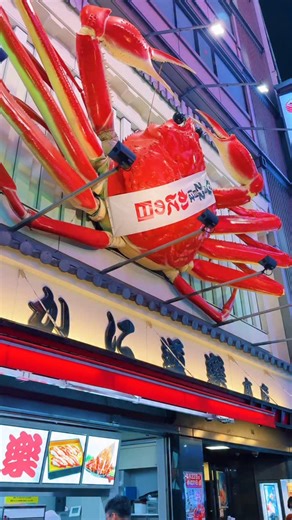 𝕋ℕ𝔹 on Instagram: "Namba(Osaka) / 難波🇯🇵 🇯🇵 What do you do when you visit Osaka Namba? I’m sharing some special experiences in the city of “Kuidaore” (eat till you drop)! Namba, the heart of Osaka’s “Minami” area, is a vibrant city! From Dotonbori’s neon lights to delicious gourmet food, shopping, and entertainment, Namba is packed with Osaka’s charm! Top 4 Recommended Spots! 1. Dotonbori: The Glico Running Man sign is a must-see! Enjoy street food and river cruises! 2. Namba Parks: An urban