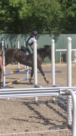 Exam du galop 4 🤌