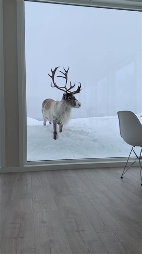 1.6M views · 103K reactions | Crazy experience | Aurora Borealis Observatory | Facebook