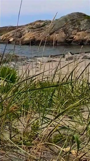Rocky & Sandy Beach Paradise on Rörö Island, Sweden 🇸🇪