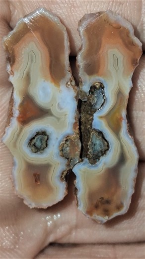 ✨️ Multi Colored Funky Bands in this Tiny Agate! #crystals #gemstone #minerals