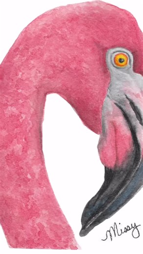 14 reactions | Meet Earnest the flamingo #flamingo #flamingodrawing #flamingolove #flamingoart #flamingos #watercolorpainting #watercolor | Missy Vr | Facebook